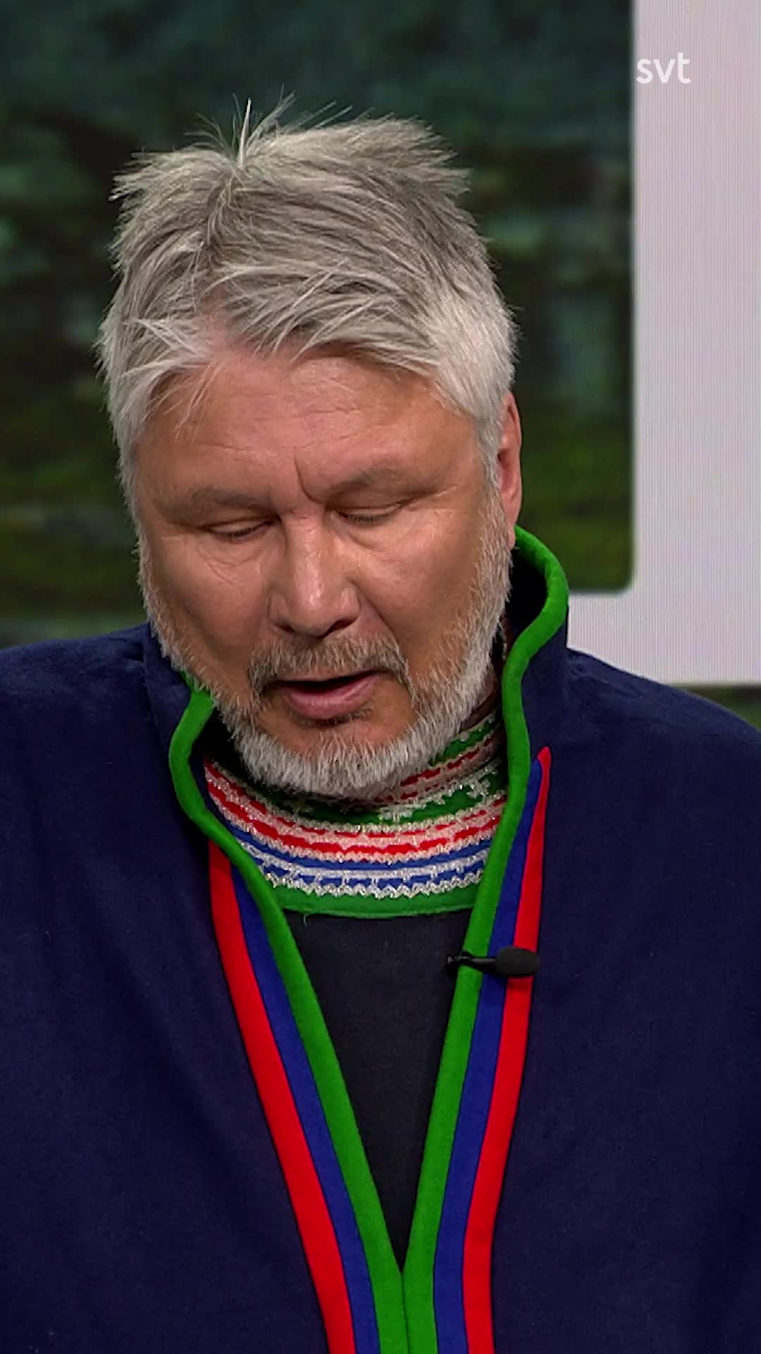 Samebyarnas kritik
